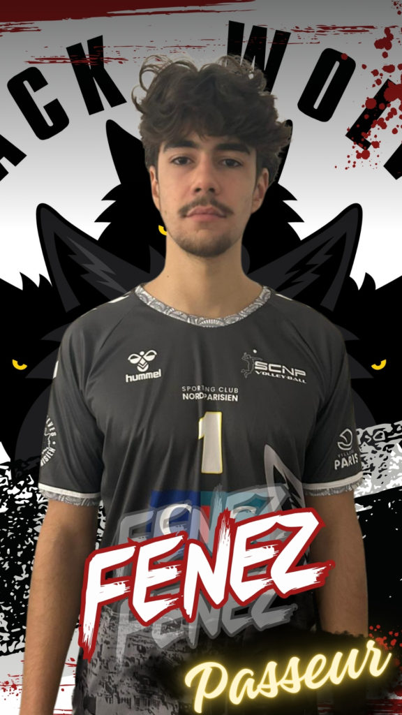 V. FENEZ